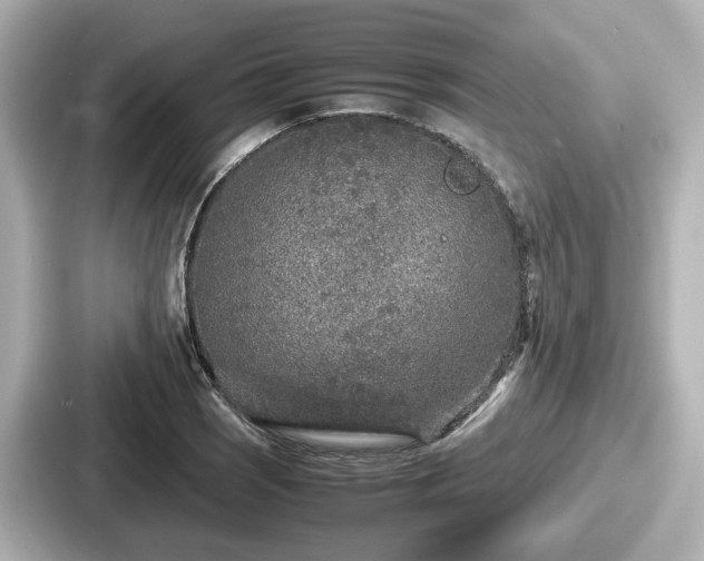 X0000087641121200705101042