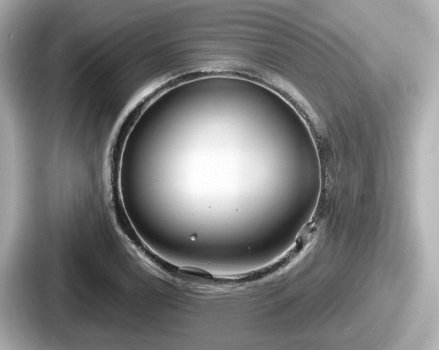 X0000087641122200705101042