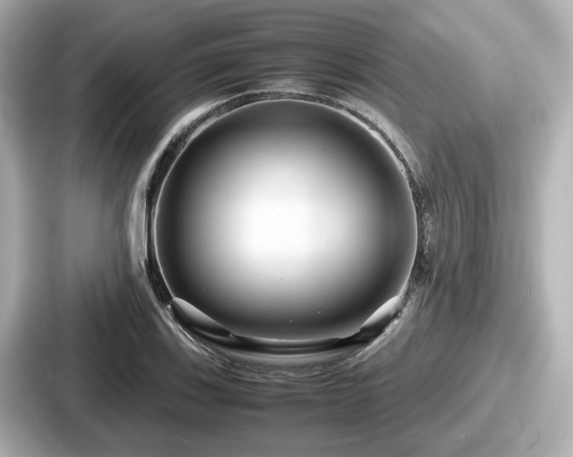 X0000087641123200705101042