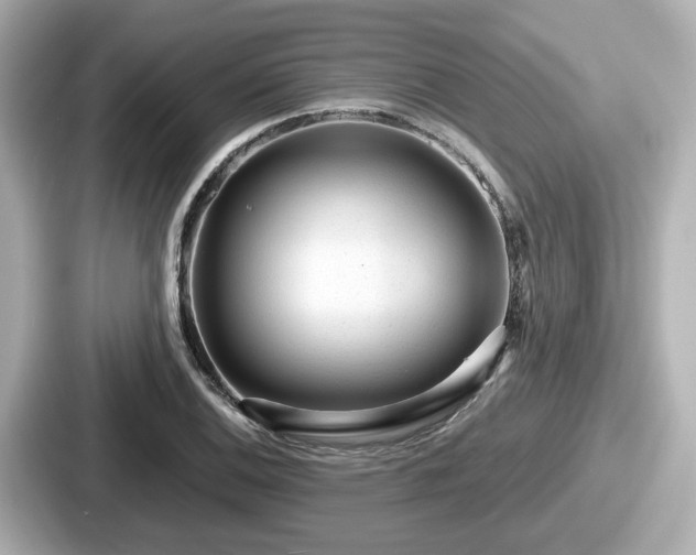 X0000087641124200705101042