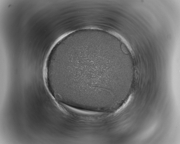 X0000087641125200705101042