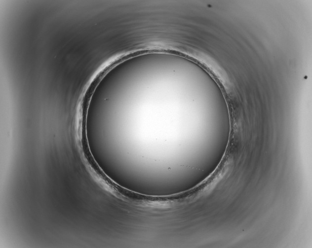 X0000087641126200705101042