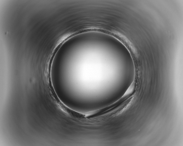 X0000087641129200705101042