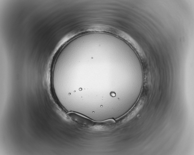 X0000087641130200705101042