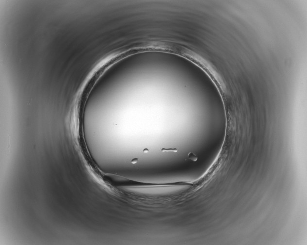 X0000087641131200705101042