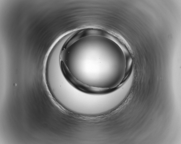 X0000087641132200705101042