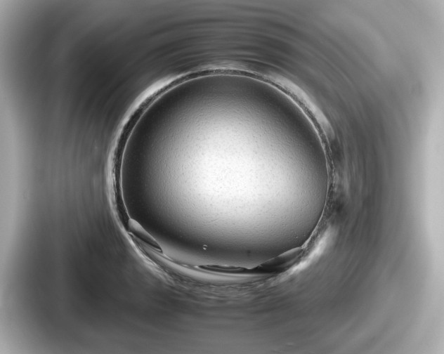 X0000087641133200705101042