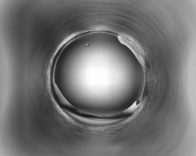 X0000087641134200705101042