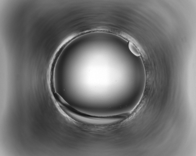 X0000087641135200705101042