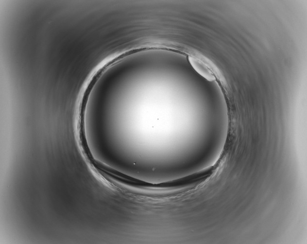 X0000087641136200705101042