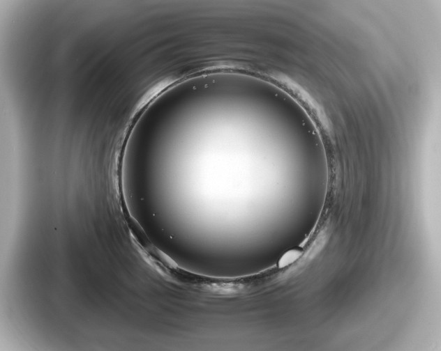 X0000087641137200705101042