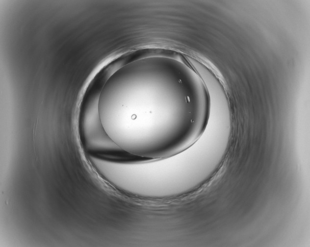 X0000087641138200705101042