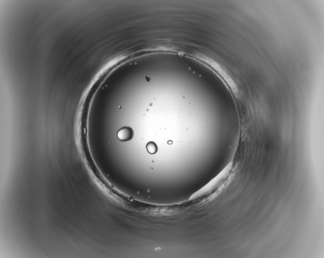 X0000087641139200705101042