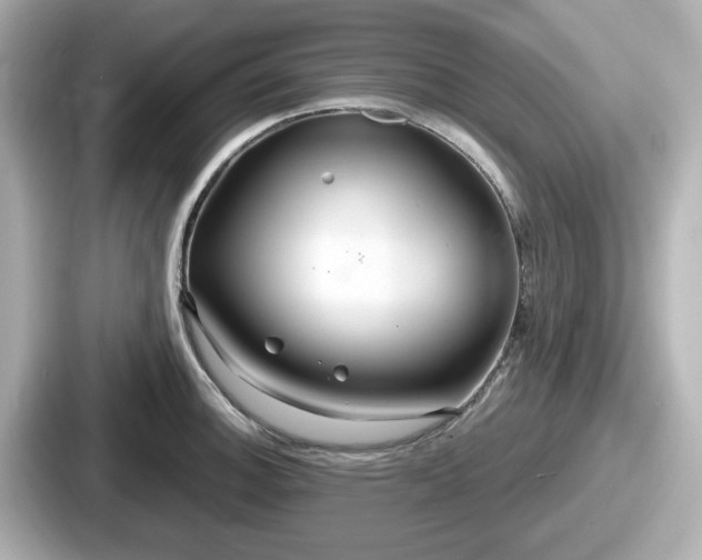 X0000087641140200705101042