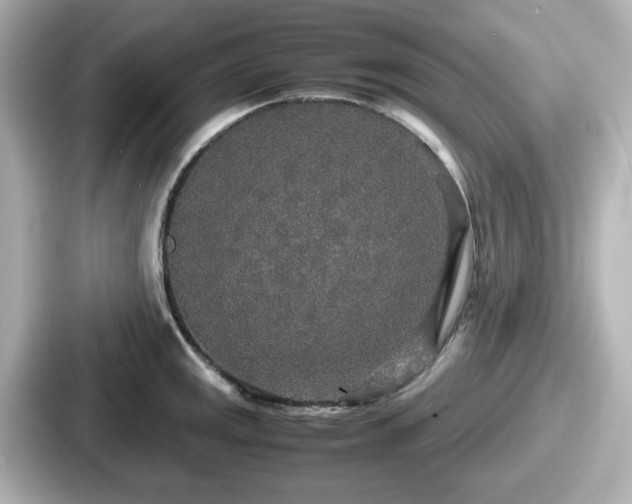 X0000087641141200705101042