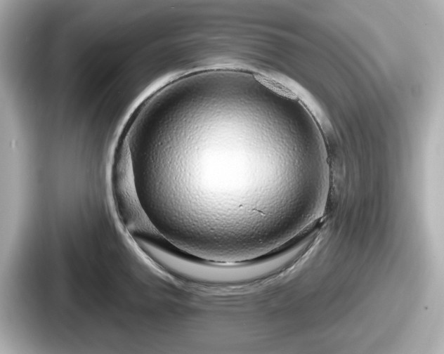 X0000087641142200705101042