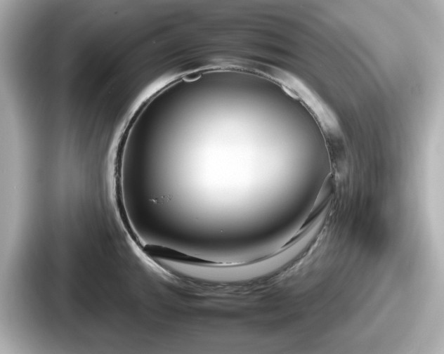 X0000087641143200705101042