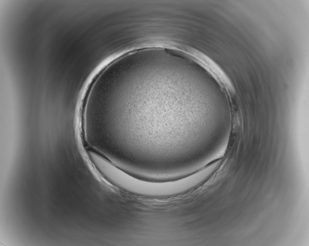 X0000087641144200705101042