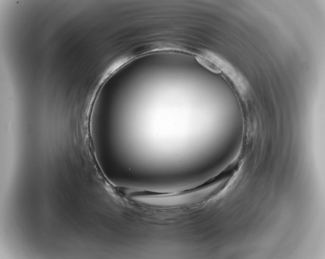 X0000087641145200705101042