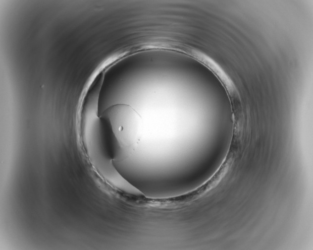 X0000087641146200705101042