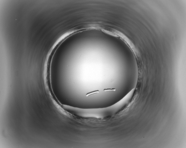 X0000087641147200705101042