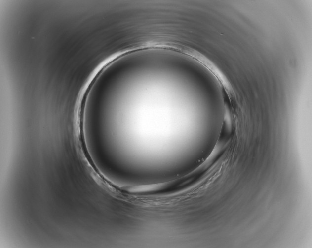 X0000087641148200705101042