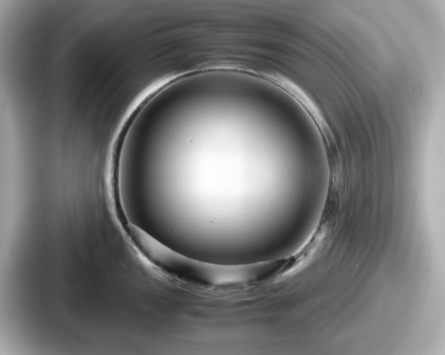 X0000087641149200705101042