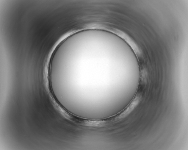 X0000087641150200705101042