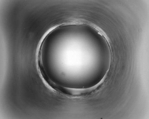 X0000087641152200705101042