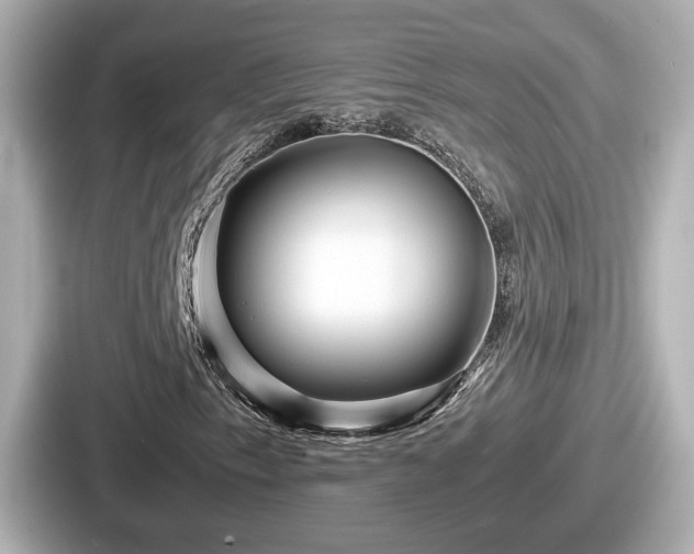 X0000087641153200705101042