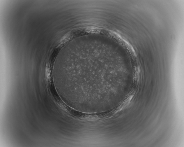 X0000087641154200705101042