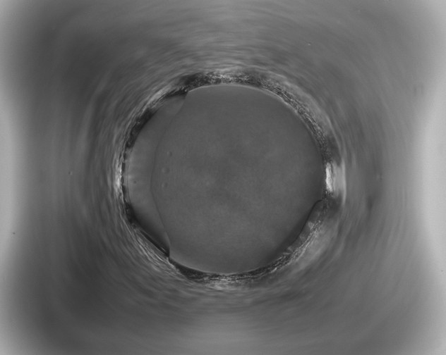 X0000087641155200705101042