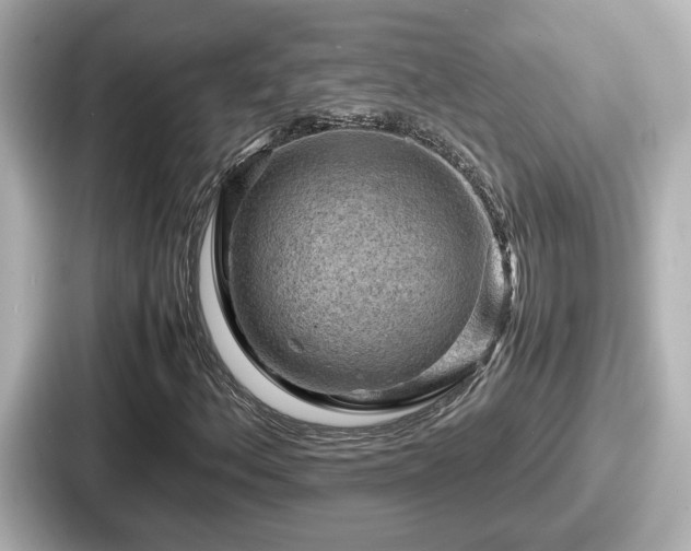 X0000087641156200705101042