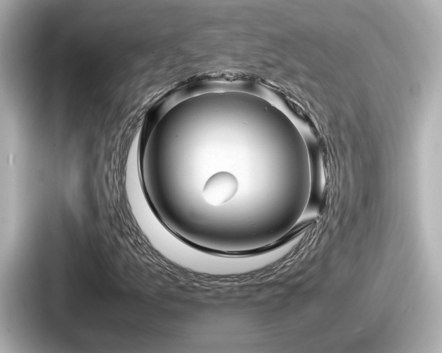 X0000087641157200705101042