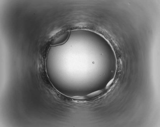 X0000087641158200705101042