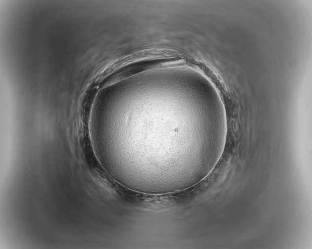 X0000087641159200705101042