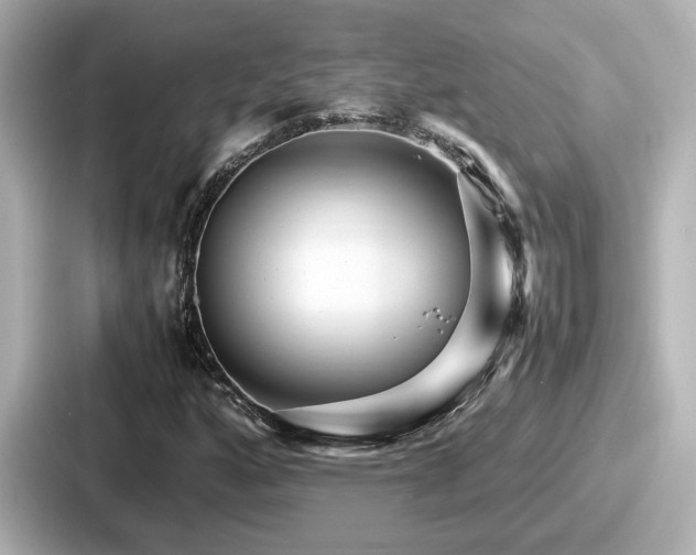 X0000087641160200705101042