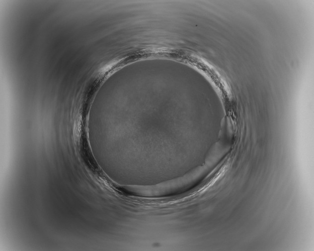 X0000087641161200705101042