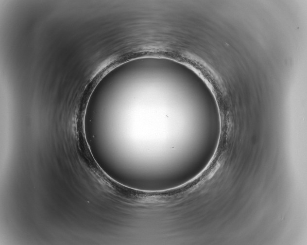 X0000087641162200705101042