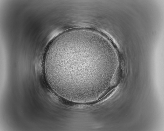 X0000087641163200705101042