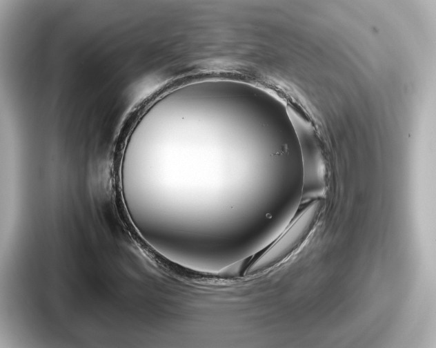 X0000087641164200705101042