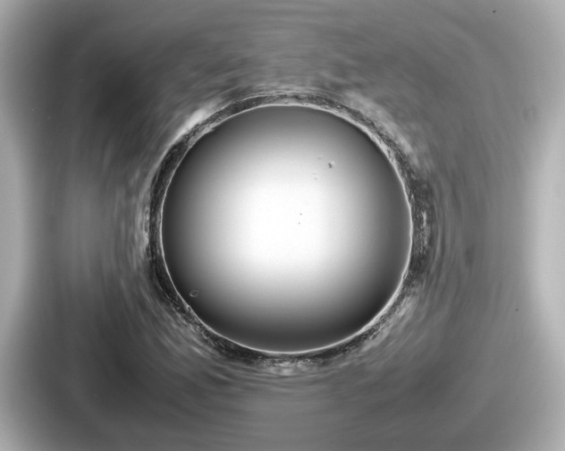 X0000087641165200705101042