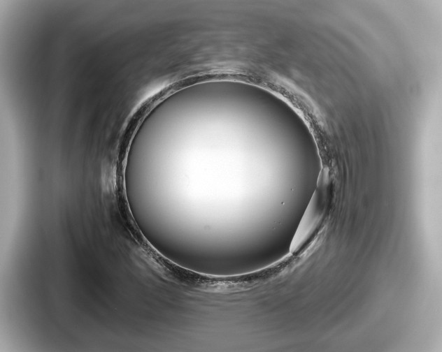 X0000087641166200705101042