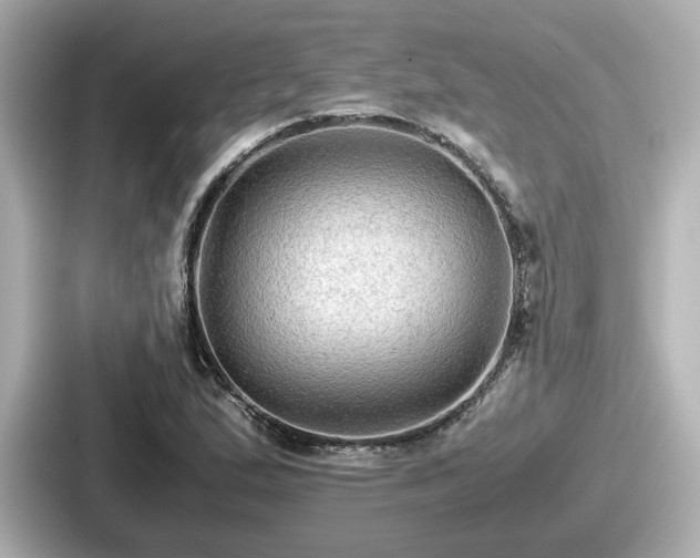 X0000087641167200705101042