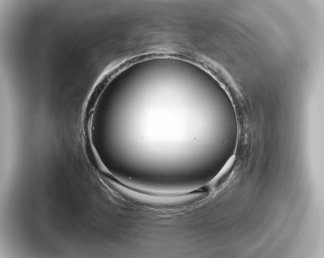 X0000087641168200705101042