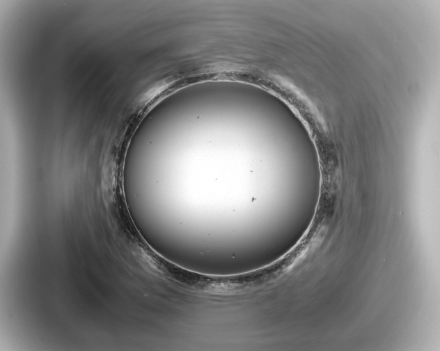 X0000087641169200705101042