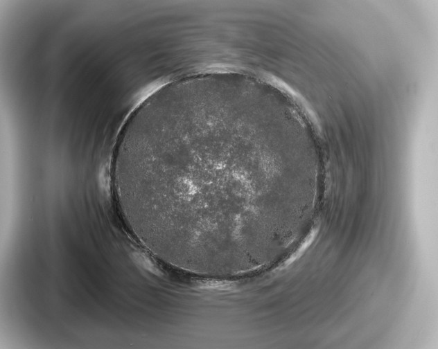 X0000087641170200705101042