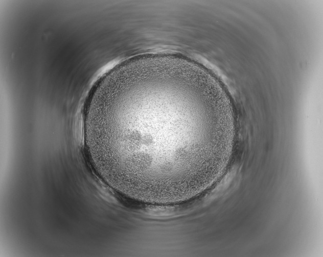 X0000087641171200705101042