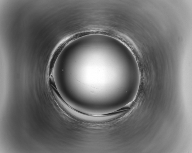 X0000087641172200705101042