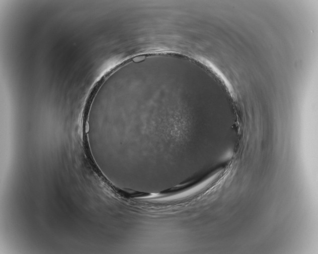 X0000087641173200705101041